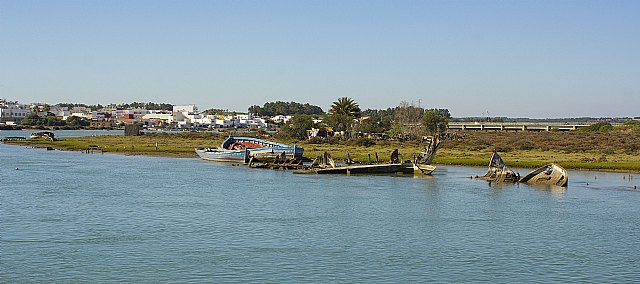 Piden la recuperación de la almadraba de Huelva - 1, Foto 1