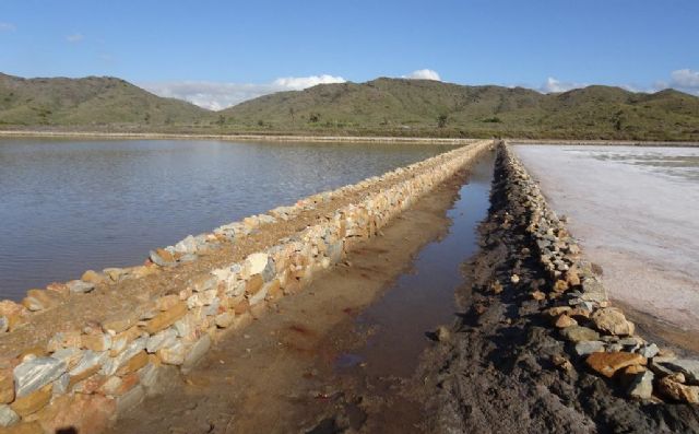 La Comunidad pone en marcha actuaciones de mejora para conservar el ecosistema del Parque Regional de Calblanque - 1, Foto 1