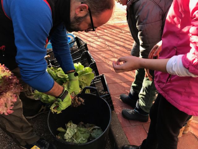 Alumnos del CEIP La Arboleda en Santiago y Zaraiche recogen la cosecha de su huerto escolar - 2, Foto 2