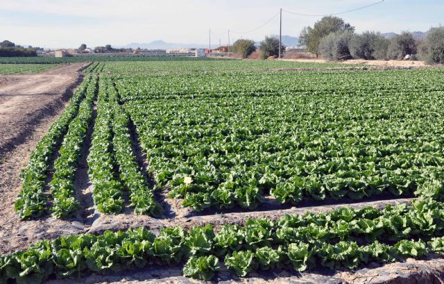 Las cooperativas agrarias de la Región acuden mañana a Madrid para exigir un reparto justo del agua - 1, Foto 1