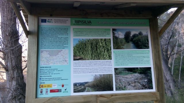 La CHS instala ocho carteles divulgativos para concienciar sobre el valor del bosque de ribera - 1, Foto 1