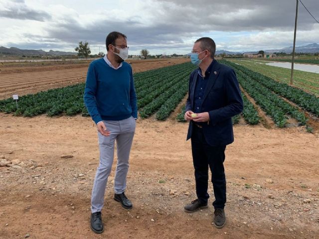 El Centro de Demostración Agraria de Purias desarrolla un proyecto de compost a base de larvas de insecto para cultivos - 1, Foto 1