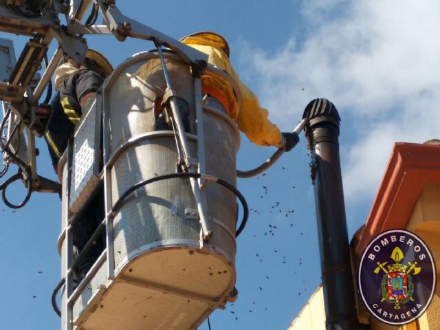 Bomberos de Cartagena retiran un enjambre de una chimenea en Pozo Estrecho - 1, Foto 1