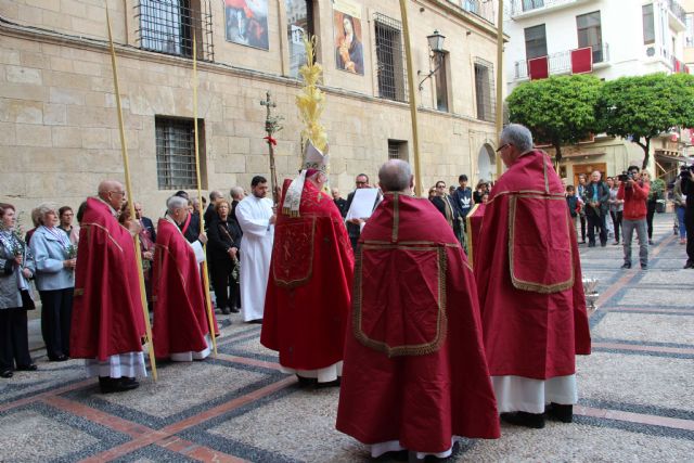 Palmas y ramas de olivo en la celebración del Domingo de Ramos - 1, Foto 1