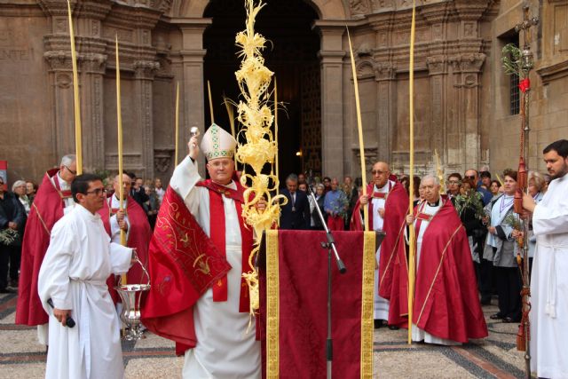 Palmas y ramas de olivo en la celebración del Domingo de Ramos - 2, Foto 2