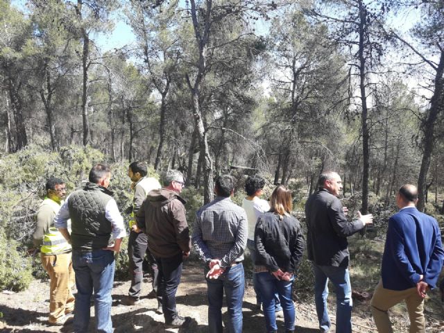 Iniciada la primera fase del Plan Especial para la biomasa - 2, Foto 2