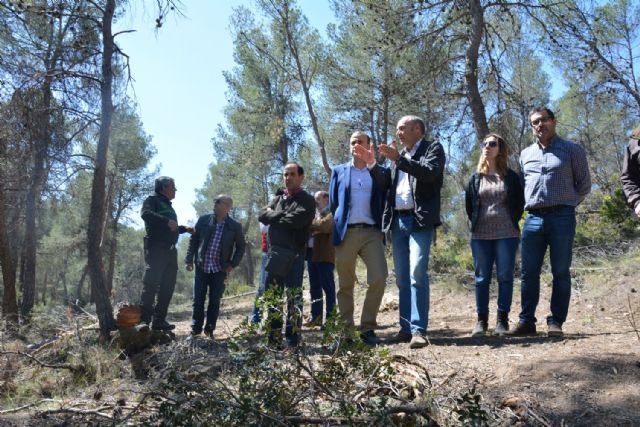 La Comunidad acomete la primera fase del Plan especial para la biomasa en montes públicos - 1, Foto 1