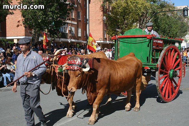 Más de 1.500 personas y 60 carrozas participan este martes en el Desfile del Bando de la Huerta - 1, Foto 1