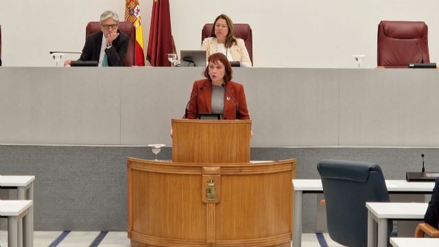 Podemos exige que se recupere la gestión pública del transporte sanitario - 1, Foto 1