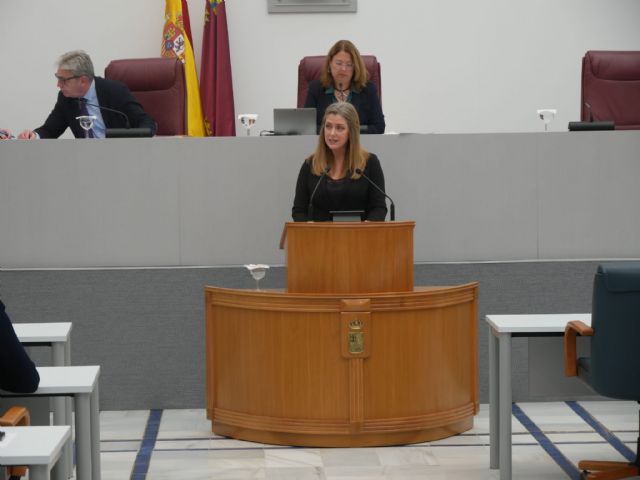 El PSOE vota en contra de la apertura de la línea ferroviaria Cartagena-Murcia-Albacete, a su paso por Cieza y Hellín - 1, Foto 1