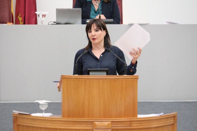 Marisol Sánchez: PP y Vox demuestran que su objetivo es favorecer económicamente a la empresa del transporte sanitario, perjudicando a pacientes y trabajadores - 1, Foto 1