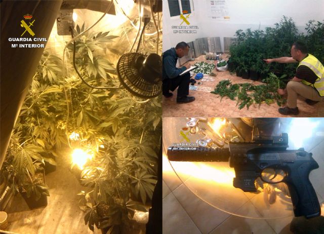 La Guardia Civil desmantela un activo punto de cultivo y venta de marihuana - 1, Foto 1