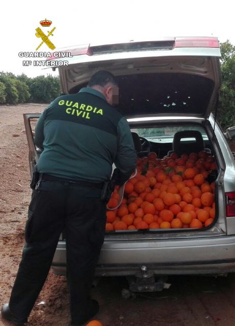 Una nueva investigación del equipo ROCA de la Guardia Civil culmina con tres detenidos y un investigado en Cartagena - 1, Foto 1