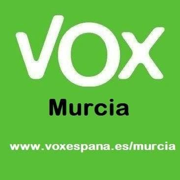 Comunicado de Vox Murcia sobre la manifestación del colectivo `Marea Verde´, junto con diversos sindicatos y asociaciones LGBTI - 1, Foto 1