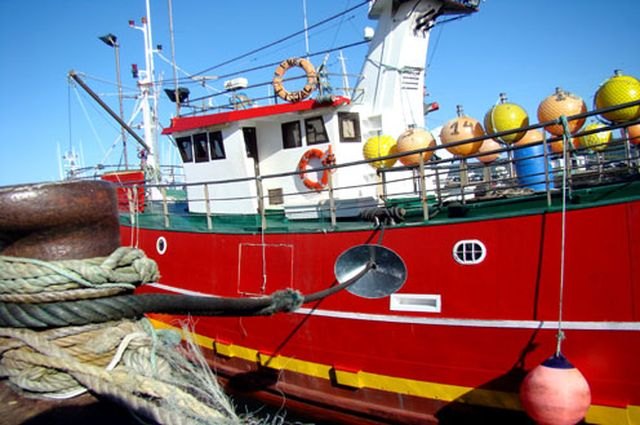 El Ministerio de Agricultura, Pesca y Alimentación y la Guardia Civil renuevan su colaboración para la vigilancia pesquera - 1, Foto 1