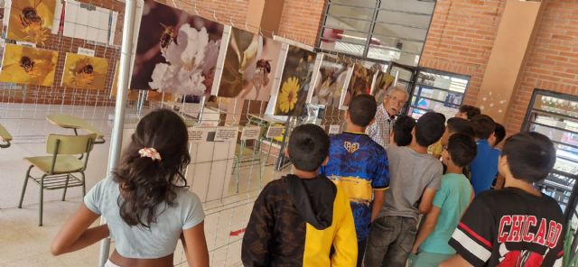 El colegio Urci acoge la exposición Las abejas y su mundo - 4, Foto 4