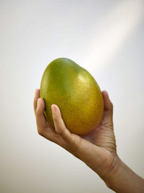 El mango de México trabaja para fortalecer y diversificar su internacionalización - 1, Foto 1