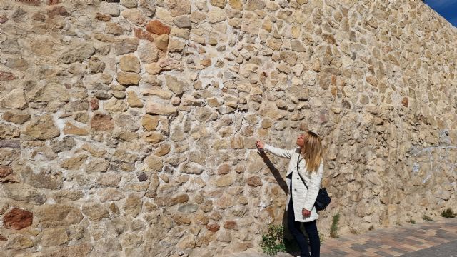 Preocupación del PSOE de Lorca por el alarmante estado de deterioro en el que se encuentra el entorno de Muralla de la ciudad - 1, Foto 1