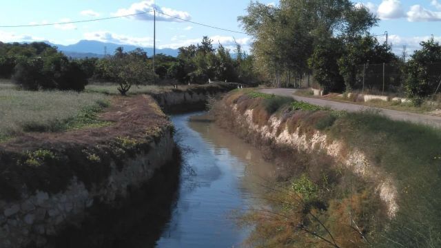 Huermur alerta de las intenciones de fumigar con glifosato las acequias y azarbes de la Huerta - 2, Foto 2