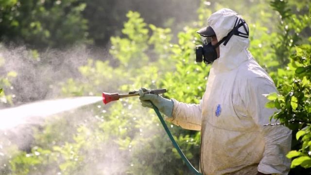 Huermur alerta de las intenciones de fumigar con glifosato las acequias y azarbes de la Huerta - 4, Foto 4