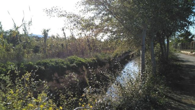 Huermur alerta de las intenciones de fumigar con glifosato las acequias y azarbes de la Huerta - 5, Foto 5