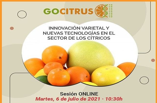 GOCITRUS organiza un evento online para analizar la innovación varietal y las nuevas tecnologías en el sector de los cítricos - 1, Foto 1