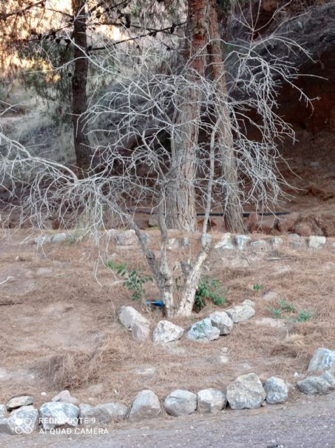 Desidia absoluta en el mantenimiento del parque de “La Verdad” del barrio de San Cristóbal - 3, Foto 3