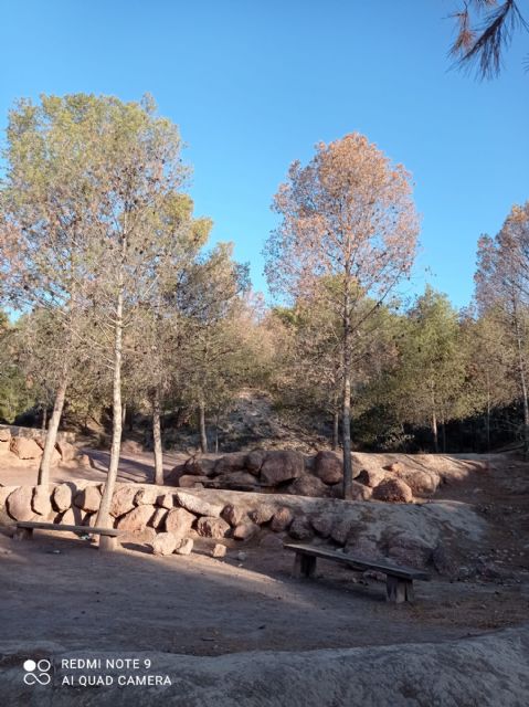 Desidia absoluta en el mantenimiento del parque de “La Verdad” del barrio de San Cristóbal - 4, Foto 4