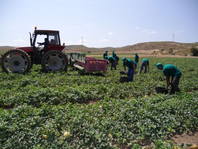 Empresas de Proexport activan las medidas de prevención y vigilancia de la salud por la ola de calor - 2, Foto 2