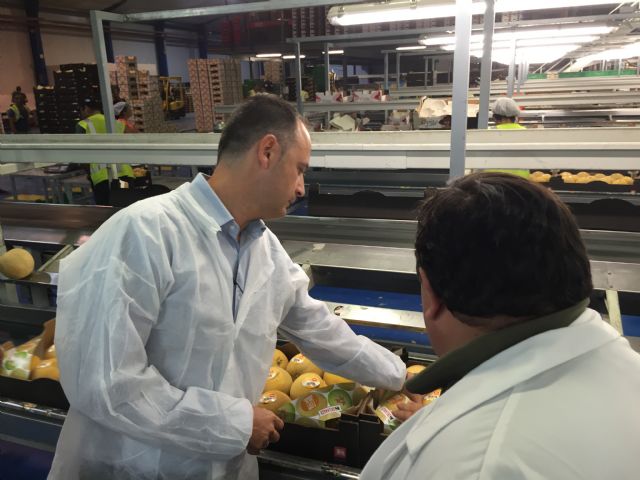 El director del Info visita la empresa Jimb ofresh, especializada en la producción y comercialización del melón - 1, Foto 1