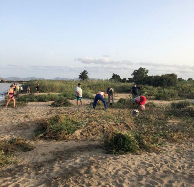 Los vecinos de Bahía Bella limpian su playa ante la dejadez y la lentitud de las Administraciones - 1, Foto 1