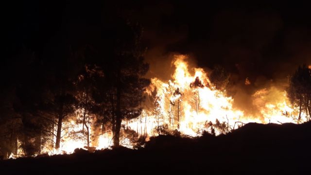 Alerta máxima en toda España por alto riesgo de grandes incendios forestales - 3, Foto 3