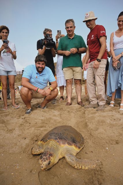 Recuperan y liberan 33 ejemplares de tortuga boba en los últimos diez años - 1, Foto 1