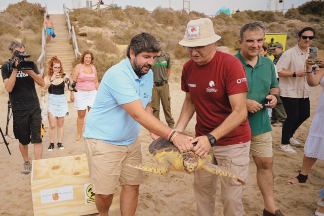 Recuperan y liberan 33 ejemplares de tortuga boba en los últimos diez años - 2, Foto 2