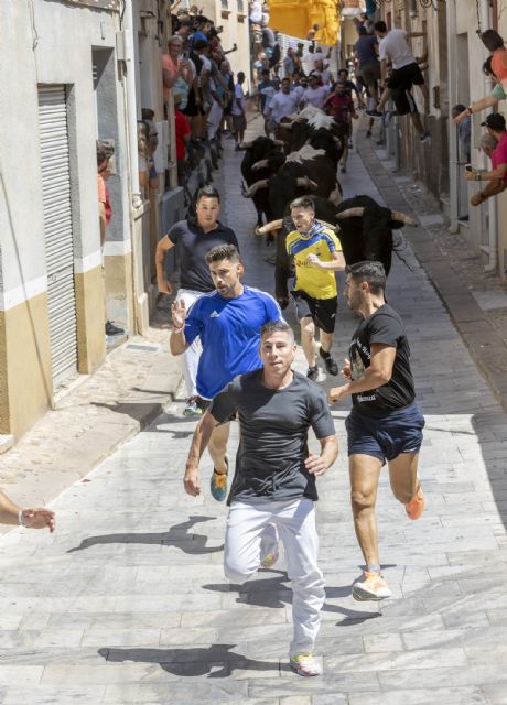 Un primer encierro rápido y limpio en la primera cita taurina de las Fiestas Patronales de Blanca 2024 - 1, Foto 1