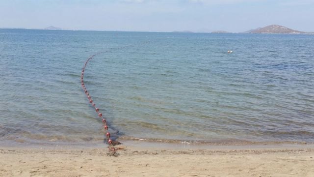 Medio Ambiente investiga las causas de la presencia de peces muertos en la orilla de la playa del Vivero - 1, Foto 1