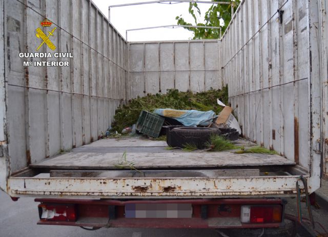 La Guardia Civil intercepta un camión con más de mil plantas de marihuana después de intentar darse a la fuga - 2, Foto 2