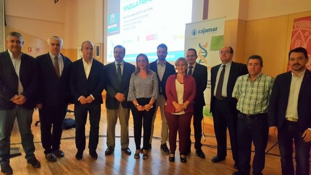 Agricultura mantiene el sistema de control y seguimiento para impedir que llegue la ´Xylella fastidiosa´ a los cultivos de la Región - 1, Foto 1