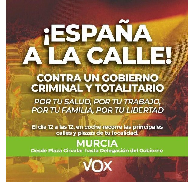 VOX invita a salir a la ciudadanía con sus coches por la Libertad contra el Gobierno criminal y totalitario - 1, Foto 1