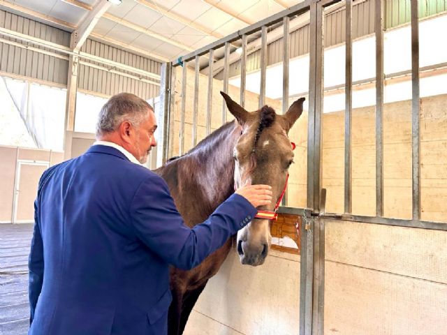 La Feria del Caballo Cruzado de Lorca se celebrará el 21 y 22 de octubre en el Recinto Ferial del Huerto de La Rueda - 1, Foto 1