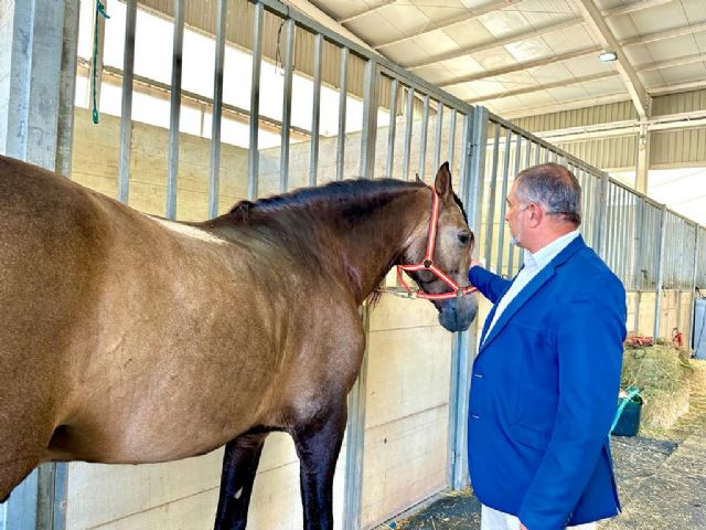 La Feria del Caballo Cruzado de Lorca se celebrará el 21 y 22 de octubre en el Recinto Ferial del Huerto de La Rueda - 2, Foto 2