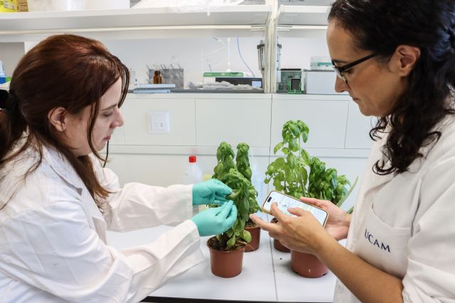 UCAM-SENS desarrolla un sensor que visualiza en tiempo real el estado integral de las plantas - 1, Foto 1