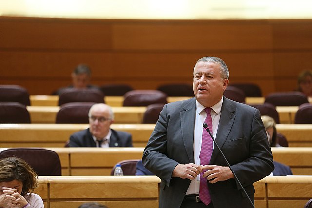 El PP solicita en el Senado la comparecencia del ministro Ábalos para que explique “por qué castiga a los transportistas a pagar peajes al obligarlesa utilizar las autopistas” - 1, Foto 1