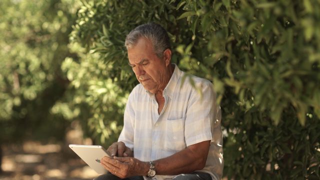 Naranjas y frutas : Una interesantísima plataforma gratuita para impulsar las ventas hortofrutícolas entre productores y comercializadores - 1, Foto 1