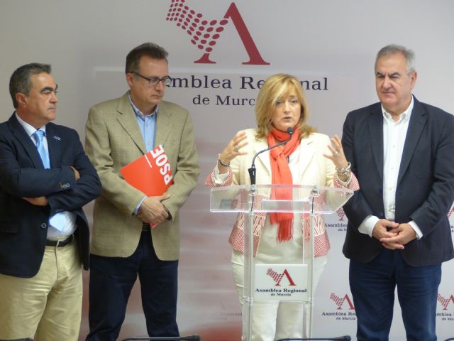 Consuelo Cano: Con estos presupuestos de Salud para la Región, nos enfrentamos a cuatro años perdidos - 1, Foto 1