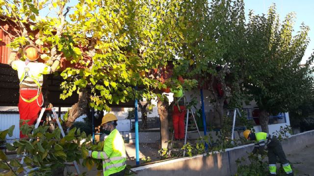 El Ayuntamiento mantiene el 'ciclo verde' utilizando triturado de poda en los parques y jardines del municipio - 1, Foto 1