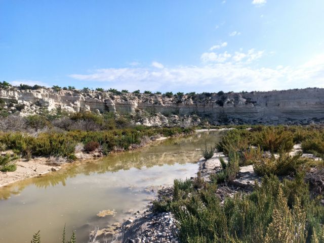 El Gobierno regional organiza un voluntariado sobre anillamiento científico de aves en el Humedal de Ajauque y Rambla Salada - 1, Foto 1