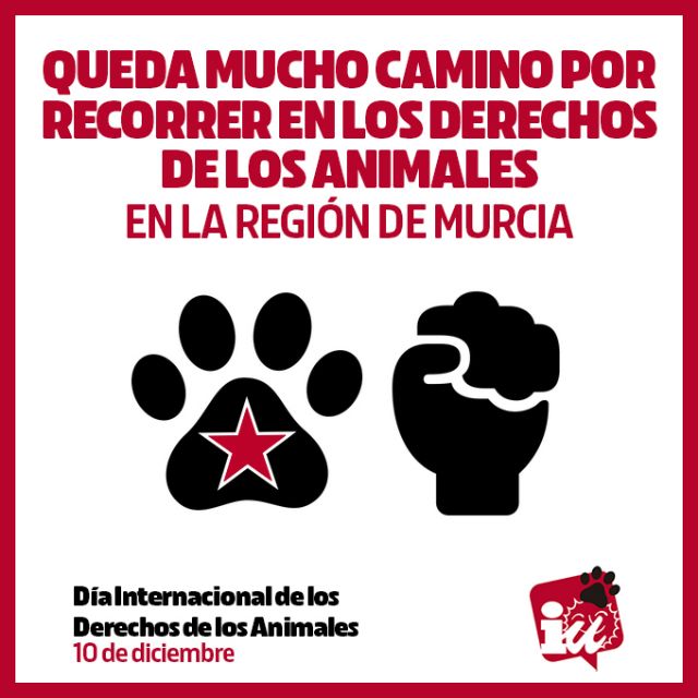 Manel Aparicio: IU-Verdes recordamos que aún queda un largo camino por recorrer en la lucha por los derechos de los animales en la Región de Murcia - 2, Foto 2