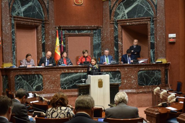 La Asamblea aprueba constituir una mesa de coordinación de actuaciones turísticas en la Administración - 1, Foto 1