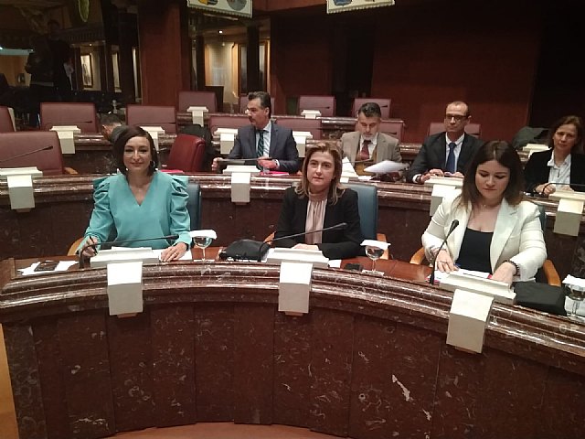 Ciudadanos pide una mayor eficiencia en el gasto y que se evalúen los programas de mejora de la Consejería de Educación - 2, Foto 2